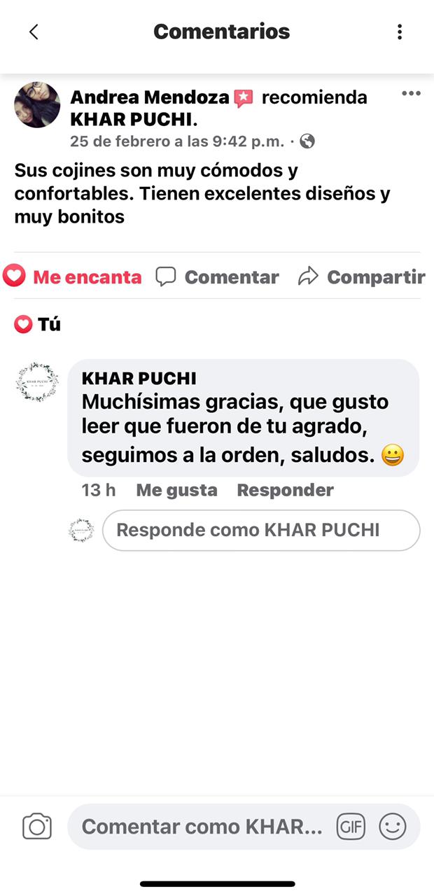 Cojines Khar Puchi